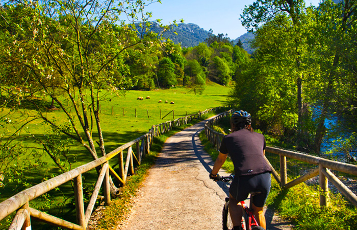 bicis-2