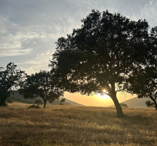 PHOTO-2025-07-01-16-20-40